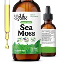 Υγρές σταγόνες Wild & Organic Sea Moss - Irish Sea Moss and Bladderwrack Βάμμα - Multimineral Chondrus Crispus Supplement - Vegan, Sugar & Alcohol-Free - 2 fl oz