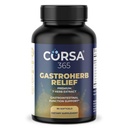 Gastroherb Relief 7 Herbs Extract - συμπλήρωμα υποστήριξης του ανοσοποιητικού Digestive Healthy Gut - συμπλήρωμα ανοσίας για τους άνδρες και τις γυναίκες - Φυσικό St Johns Wort, Ρίζα γλυκόριζας, Rose Hip Oils - 90 Softgels