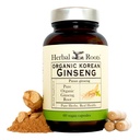 Ρίζες βοτάνων Panax Ginseng 