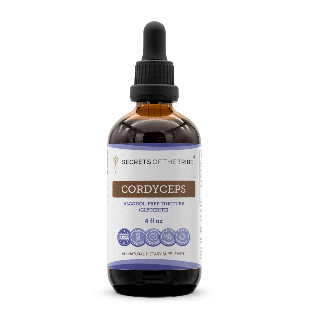 Secrets of the Tribe Cordyceps Alcohol-Free Liquid Extract, Cordyceps Militaris Dried Mushroom Tincture Supplement (4 FL OZ)