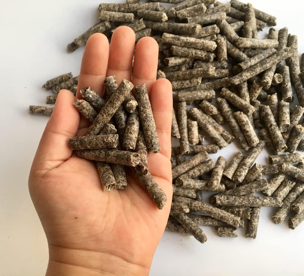 Smart Beet Pellets for Feeding - Horse, Pony, Goat, Cattle Feed - Good for Brain Health and Natural Sweetener (12 Ounces)