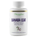Paradise Herbs, Banaba Leaf, 12:1 Συμπυκνωμένο εκχύλισμα, 250 mg, Vegan, Χωρίς γλουτένη, μη ΓΤΟ, 180 κάψουλες