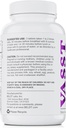 BELDT Labs VASST Nitric Oxide Booster, N.O. Συμπλήρωμα με πάνω από 3.000mg Arginine-AKG, OKG, GKG, και L- Arginine HCL για την οικοδόμηση μυών και την ενισχυμένη αγγειότητα - 90 δισκία