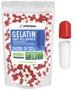 XPRS Nutra Size 3 Empty Capsules - 500 Count Empty Gelatin Capsules - Pills DIY Capsule Filling - Pure Bovine Pill Gel Caps for Do-It-Yourself Supplements (Red/White)