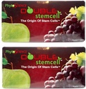 2X Phytoscience Double Stem Cell Anti Aging Supplement Acai Berry Extract Blueberry Reduce Wrinks Pores Piples Pine Lines Skin Texture (14 φακελάκια/πακέτο)
