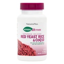 NaturesPlus Herbal Actives Red Yeast Rice + CoQ10 Extended Release - 30 Tablets, Συσκευασία των 2 - Αντιοξειδωτικό + Υποστηρίζει Γενική Ευεξία - Χορτοφαγικά, Χωρίς Γλουτένη - 60 Σύνολο Σερβιρίσματος