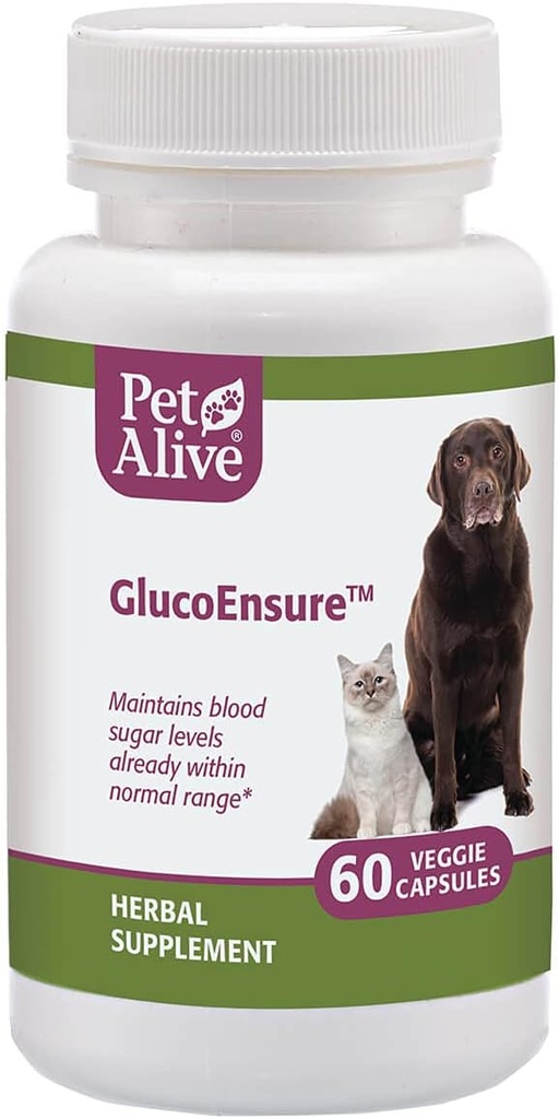PetAlive GlucoEncure - Όλα τα φυσικά συμπλήρωμα βοτάνων για τη διατήρηση της ζάχαρης αίματος (Glucose) επίπεδα ήδη στην κανονική σειρά σε κατοικίδια ζώα