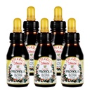Επίσημος Διανομέας - 5 μπουκάλια Apiario Silvestre Brazilian Green Bee Propolis Liquid Glycolic Extract-Non Alcoinic, Wax Free, Sugar Free (PG)
