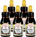 Επίσημος Διανομέας - 5 μπουκάλια Apiario Silvestre Brazilian Green Bee Propolis Liquid Glycolic Extract-Non Alcoinic, Wax Free, Sugar Free (PG)