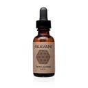 Ayurveda Karna Purana Ear Oil, Organic Sesame & Lavender, 2 Oz | Traditional Karna Purana ear oil in a certified-organic sesame base with pure lavender essential oil, applied by dropper