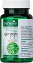 Genesis LABORATORIES Προβιοτικό συμπλήρωμα με Bifidobacterium spp. 250 mg 30 Κάψουλες Ανοσολογική υποστήριξη Υγεία των προβιοτικών για την Digestive Health Anti Bloating για άνδρες και γυναίκες Gut Restore Probiotic