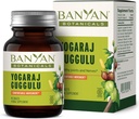 Banyan Botanicals Yogaraj Guggulu – Συμπλήρωμα οργανικής κοινής υποστήριξης -–Ayurvedic Blend for Supporting The Skeletal and Neuromusic Systems* – 90 Tablets – Μη ΓΤΟ, Με Βιώσιμη προέλευση, Vegan
