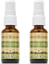 Honey Gardens Bee Propolis Lroat Spray 