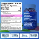 Συμπλήρωμα μαγνησίου 500mg, Gummys Σύμπλεγμα μαγνησίου w/Magnesium Γλυκινικό, Μηλεϊνικό, Κιτρικό, D3, B6, B12 για τον ύπνο, Ημικρανία ανακούφιση, μυών & οστών, Ultimate Απορρόφηση συμπλήρωμα μαγνησίου, 2 συσκευασία