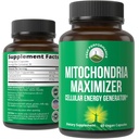 Mitochondria Maximizer με CoQ10 και ενεργό PQQ. Καλύτερο συμπλήρωμα υποστήριξης Mitochondrial με λάδι MCT. Φυσικό κυτταρική γεννήτρια για καθαρή, εστιασμένη ενέργεια 60 κάψουλες χορτοφάγων