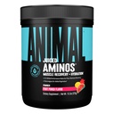 Ζυμαρικά Χυμένα Αμινοξέα - BCAA Powder EAA Matrix Plus Ενυδάτωση με ηλεκτρολύτες και θαλασσινό αλάτι Ανάπαυση και Βελτιωμένη Απόδοση, Fruit Punch Γεύση, 30 Υπηρεσίες