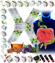 Όλα τα φυσικά Detox Καθαρίστε Instant Τσάι Mix Prune & Plum w. Ίνες & Ινουλίνη για την βέλτιστη ενδοεντερική διαμετακόμιση από FuXion Prunex 1 (10 φακελάκια)