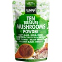 Wixar Mushroom Powder - 10 Treasure Mushrooms Extract συμπλήρωμα για καφέ & smoothies - Lions Mane, Turkey Tail, Reishi, Chaga, Shiitake, Cordyceps, Complex - 4oz Mushroom Συμπλήρωμα