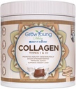 Grow Young Fitness Collagen Protein - Σοκολάτα γάλακτος, προάγει το δέρμα, οστά, αρθρώσεις, απώλεια βάρους, ζάχαρη δωρεάν (12.41 oz) (1 Pack, 20 εξυπηρετούν)