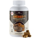 Naturealm Sacred 7 Organic Mushroom Extract Capsules - Premium 7 Mushroom Supplement with Lions Mane, Reishi, Chaga - USDA Organic Immune Support & Focus - 90 Vegetarian Caps