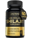 Ατλαντίς Διατροφή Ιμαλαΐων Shilajit Κάψουλες Formulated με 20% Fulvic Acid 