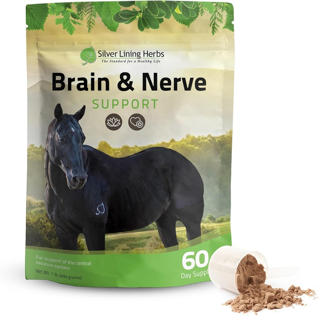 Silver Lining Herbs Brain & Nerve Support Supplement for Horses - Horse Supplements for Focus, Mental Health & Brain Support - Contains Herbal Blend of Ginkgo, Gotu Kola, & More - 1 lb 60-Day Supply