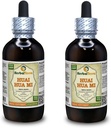Huai Hua Mi (Sophora Japonica) Tincture, Organic Dried Flower Buds Liquid Extract (Brand name: HerbalTerra, Proudly made in USA) 2x4 fl.oz (2x120 ml)