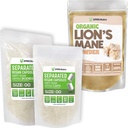 XPRS Nutra Χωριστό μέγεθος 00 κάψουλες (1000 Count) με σκόνη χαίτη του Λιονταριού (8 ουγγιά) Bundle