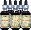 Lotus, Xi Xin (Nelumbo Nucifera) Dried Stem Liquid Extract (Brand Name: HerbalTerra, Proudly Made in USA) 5x2 oz