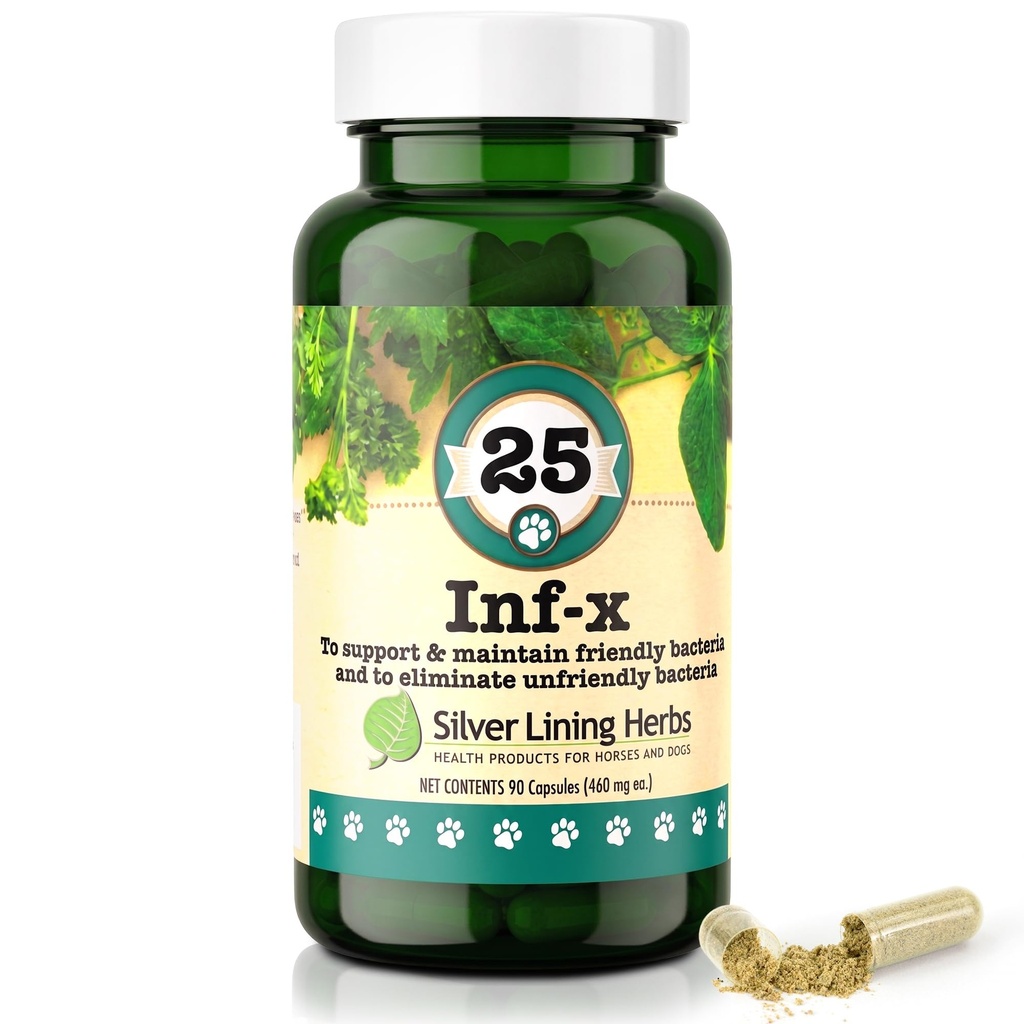 Silver Lining Herbs 25 Canine INF-X - Βοηθά στη διατήρηση των επιπέδων υγιούς πέψης - Φυσική υποστήριξη για την κανονική διαδικασία αποτοξίνωσης - φυτικό συμπλήρωμα υγείας για σκύλους - 90 κάψουλες