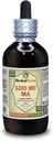 Luo Bu Ma, Dogbane (Apocynum Venetum) Βάμμα, Αποξηραμένο Λίφος Υγρό Εκχύλισμα (Όνομα: HerbalTerra, Περήφανα Made in USA) 4 fl.oz (120 ml)