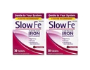 Slow Fe Slow Release Iron, 60 δισκία (πακέτο του 2)