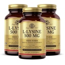 Solgar L-Lysine 500 mg - 100 κάψουλες λαχανικών, Συσκευασία 3 - Υποστήριξη δέρματος & ιστού - Μη ΓΤΟ, Vegan, Kosher, Χωρίς γλουτένη - 300 Σύνολο Σερβιρίσματος