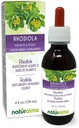 Naturalma Rhodiola rosea (Sedum roseum) Ρίζα Αλκοόλ-ελεύθερο Βάμμα - 4 fl oz Liquid Extract in Drops - φυτικό συμπλήρωμα - Vegan