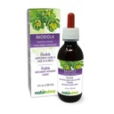 Naturalma Rhodiola rosea (Sedum roseum) Ρίζα Αλκοόλ-ελεύθερο Βάμμα - 4 fl oz Liquid Extract in Drops - φυτικό συμπλήρωμα - Vegan
