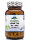 Κάψουλες Ginkgo Biloba – Kosher Vegan Caps με 400mg Ginkgo Biloba Leaf και συμπλήρωμα εκχύλισμα Ginko