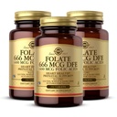 Solgar Folate 666 mcg DFE (Folic Acid 400 mcg) - 250 δισκία, συσκευασία 3 - Προγεννητική Υποστήριξη - Μη ΓΤΟ, Vegan, Χωρίς γλουτένη, Χωρίς γαλακτοκομικά, Kosher - 750 Σύνολο Σερβιρίσματος