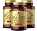 Solgar Folate 666 mcg DFE (Folic Acid 400 mcg) - 250 δισκία, συσκευασία 3 - Προγεννητική Υποστήριξη - Μη ΓΤΟ, Vegan, Χωρίς γλουτένη, Χωρίς γαλακτοκομικά, Kosher - 750 Σύνολο Σερβιρίσματος