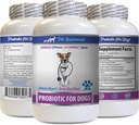 Dog Digestive enzymes Powder - PROBIOTICS for Dogs - Healthy Gut - Stop Gas Diarrhea and Bad Breath - Digestive Boost - probiotics for Dogs - 1 Bottle (60 Treats)