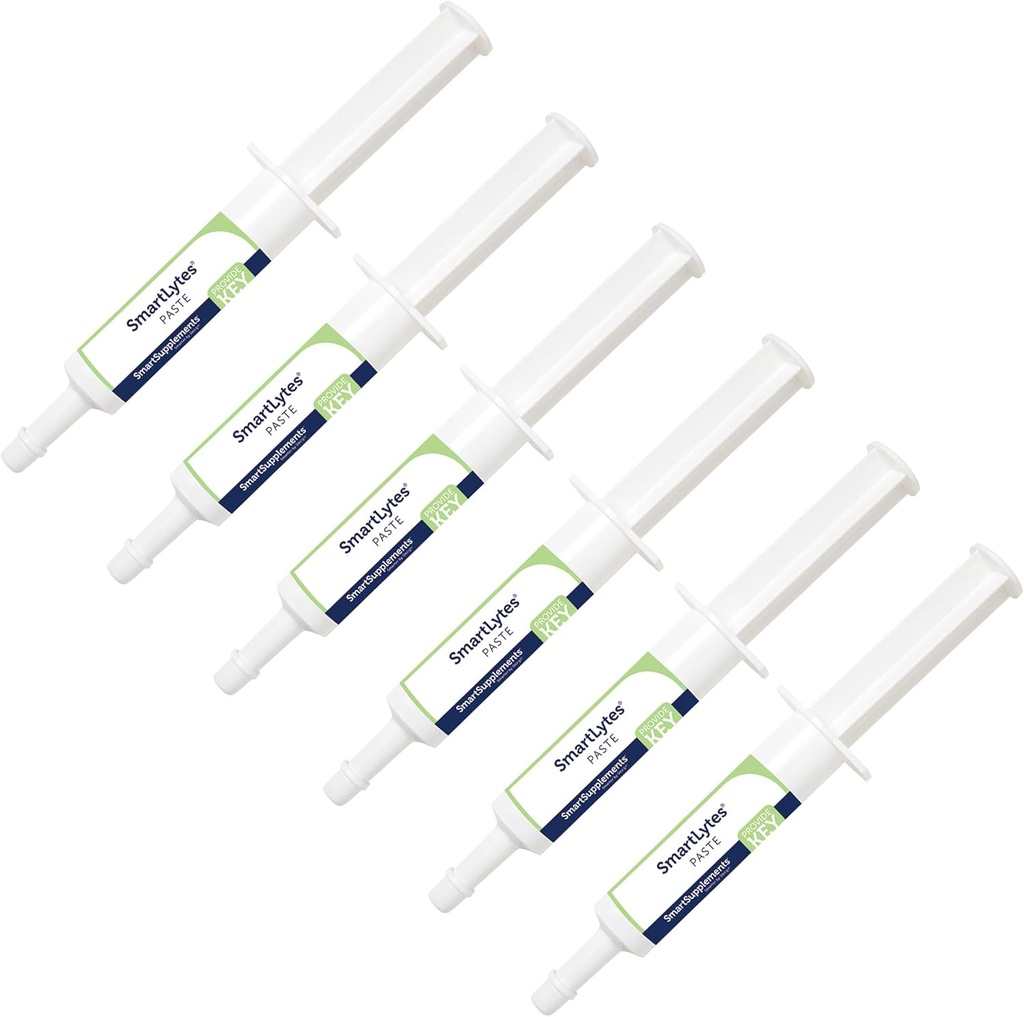 SmartLytes Paste Horse Electrolyte Paste 