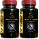 Joint Matrix PRO Complex - Υποστηρίζει κοινή, γόνατο, Cartilage για άνδρες & γυναίκες, φυσική Chondroitin γλυκοζαμίνη με MSM - Hip & Joint - 2 μπουκάλια