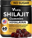 Χειμαλαΐαν Shilajit Gummies for Men & Women - Pure Shilajit for Men Gummies - Sugar Free Gummy Συμπληρώματα με Fulvic Acid - Υγιεινή γήρανση, ανοσοποιητική & ενεργειακή υποστήριξη - 60 Count