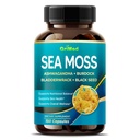 Premium Sea Moss με Ashwagandha, Burdock Bladderwrack, Black Seed for Immune System, Skin, Digestion & Energy- Made in The USA (150 Count (Pack of 1))