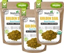 Naturefi Βιολογικό Goldenseal Root Powder - 10,5 oz, 300 σέρβις *USDA Organic 
