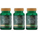 Swanson Boswellia Serrata Extract 125 mg 60 Veg Caps (3 Συσκευασία)