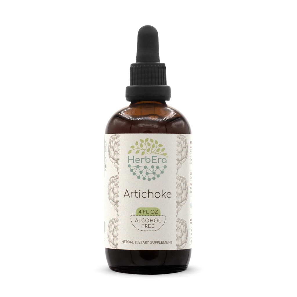 HerbEra Artichoke B120 εκχύλισμα χωρίς αλκοόλη Βάμμα βοτάνων, συμπυκνωμένες σταγόνες υγρού Φυσικό Artichoke (Cynara scolymus) (4 fl oz)