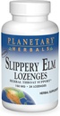Planetary Herbals Slippery Elm Lozenges, Herbal Throat Support, 24 Lozenge