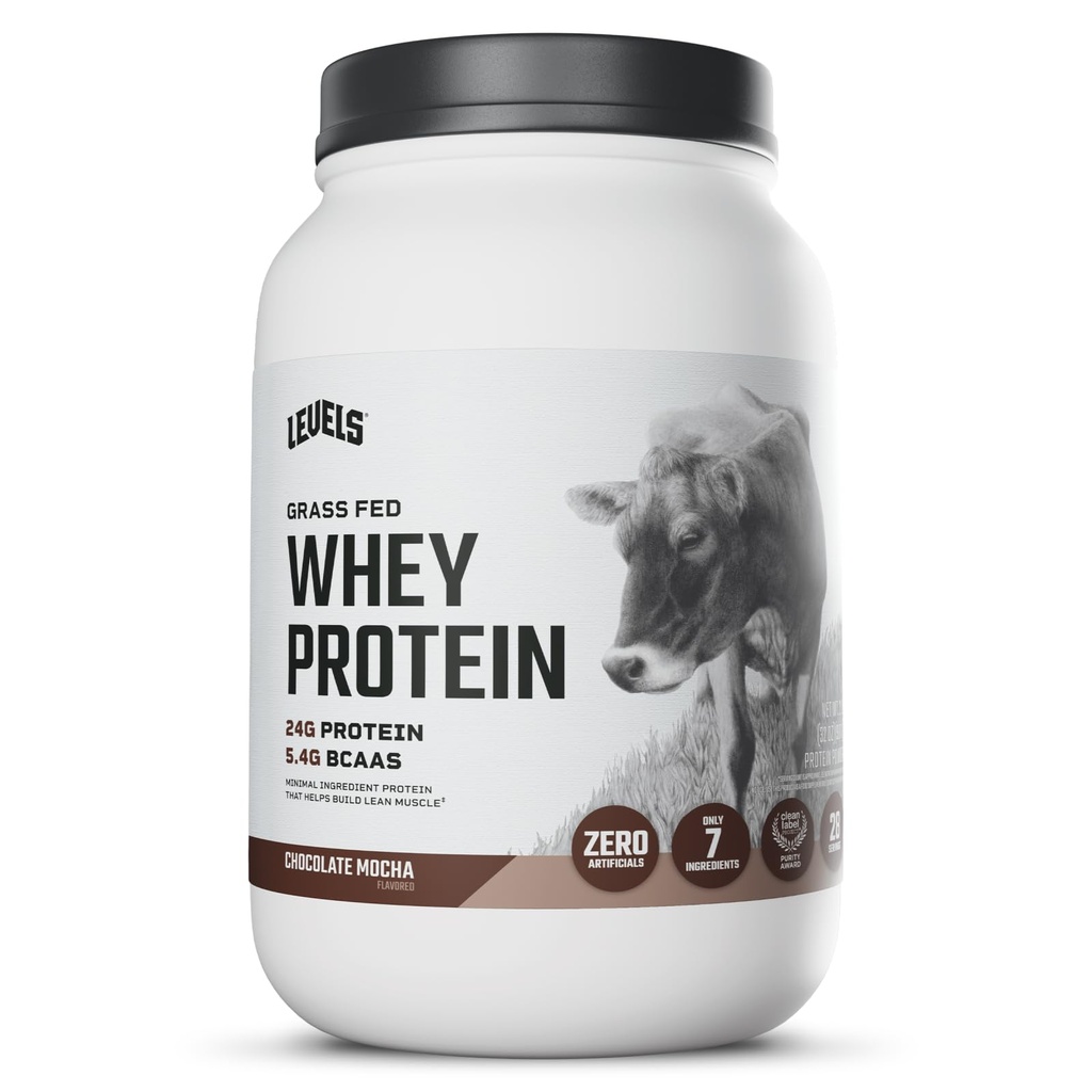 Επίπεδα Grass Fed Whey πρωτεΐνη σκόνη, καμία τεχνητή ουσία, 24G πρωτεΐνης, σοκολάτα μόκα, 2LB