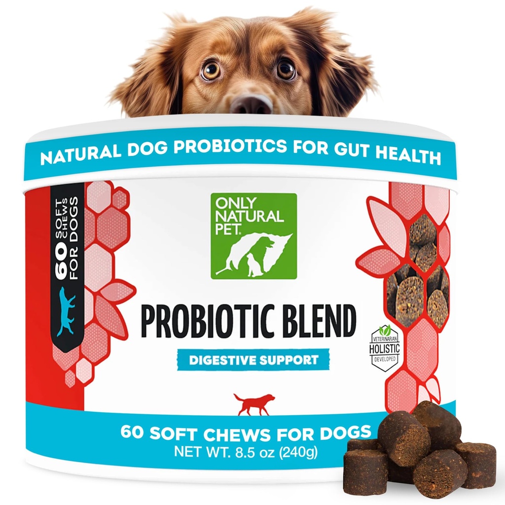 Μόνο φυσικό κατοικίδιο ζώο Probiotic Dog and Cat συμπλήρωμα - Digestive & Gut Health Enzyme Formula, Puppy & Canine Digestive Chews, Best for Stomach Relief & Gas Aid - Μαλακά μάσημα, 60 Count.