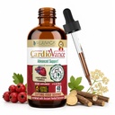 Rejuvica Health CardioVance - Heart Support Supplement - Liquid Delivery for Better Absorption - Hawthorne, Hibiscus, Arjuna, Olive Leaf & More!